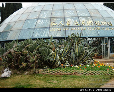 Image 28: http://farm1.static.flickr.com/158/369839924_a6809451ff.jpg?v=0